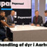 DR2 Dagen / Paparazzi / 23.05.2013